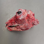 Skinned Head